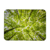 Magnet Flexible Belle forêt verte (Horizontal)