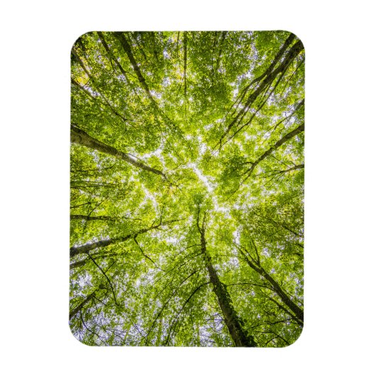 Magnet Flexible Belle forêt verte (Vertical)