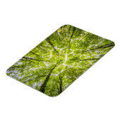 Magnet Flexible Belle forêt verte (Côté Gauche)