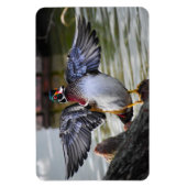 Magnet Flexible Belle frapper Bois Canard Floride Photographie (Vertical)