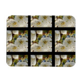 Magnet Flexible Belle Grille Springflower (Horizontal)