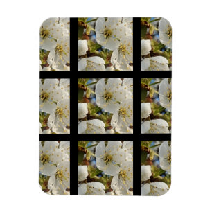 Magnet Flexible Belle Grille Springflower