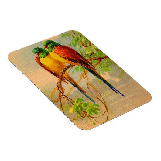 Magnet Flexible belle impression d'oiseaux (Côté Droit)
