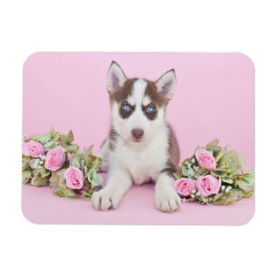 Magnet Flexible Belle marionnette Husky aux roses roses roses