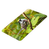 Magnet Flexible Belle Paruline ornée de châtaignes sur une branche (Côté Gauche)