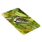 Magnet Flexible Belle Paruline ornée de châtaignes sur une branche (Côté Droit)