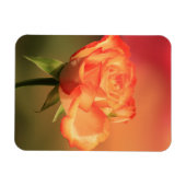 Magnet Flexible Belle photo de Rose romantique (Horizontal)