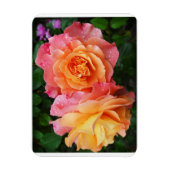 Magnet Flexible Belle photo rose rose et orange (Vertical)