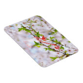 Magnet Flexible Belle salutation de printemps (Côté Droit)