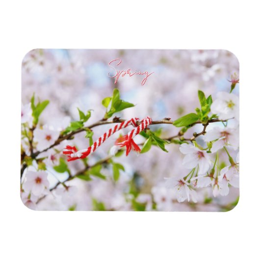 Magnet Flexible Belle salutation de printemps (Horizontal)
