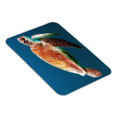 Magnet Flexible Belle tortue verte (Côté Droit)