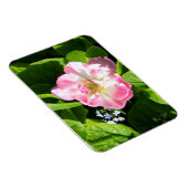 Magnet Flexible Belle tulipe rose (Côté Droit)