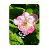 Magnet Flexible Belle tulipe rose (Vertical)