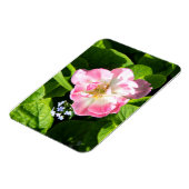 Magnet Flexible Belle tulipe rose (Côté Gauche)