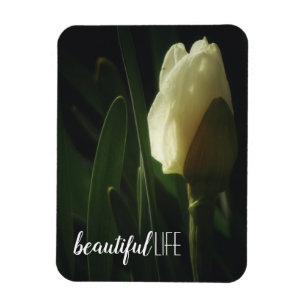 Magnet Flexible Belle vie dire Daffodil photo