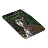 Magnet Flexible Belle vieille chèvre (Côté Droit)