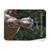 Magnet Flexible Belle vieille chèvre (Horizontal)