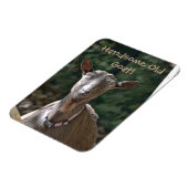 Magnet Flexible Belle vieille chèvre (Côté Gauche)