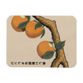 Magnet Flexible Belles oranges fraîches (Horizontal)