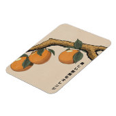 Magnet Flexible Belles oranges fraîches (Côté Gauche)