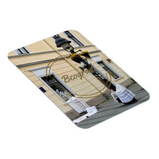 Magnet Flexible Beograd