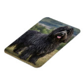 Magnet Flexible Bergame de Laine Noire, (Côté Gauche)