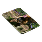 Magnet Flexible Berger allemand (Côté Droit)