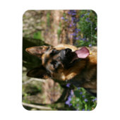 Magnet Flexible Berger allemand (Vertical)