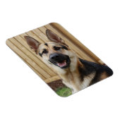 Magnet Flexible Berger allemand assis (Côté Droit)