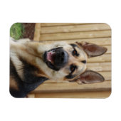 Magnet Flexible Berger allemand assis (Horizontal)