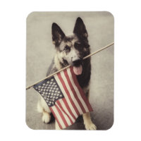 Berger Allemand Avec Drapeau US