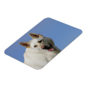 Magnet Flexible Berger allemand blanc (Côté Gauche)