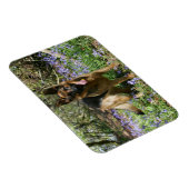 Magnet Flexible Berger Allemand Laissant tomber (Côté Droit)