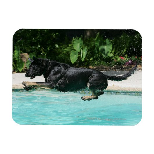 Magnet Flexible berger allemand sauter dans l'eau (Horizontal)