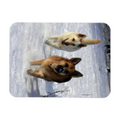 Magnet Flexible Bergers allemands en courant dans la neige (Horizontal)