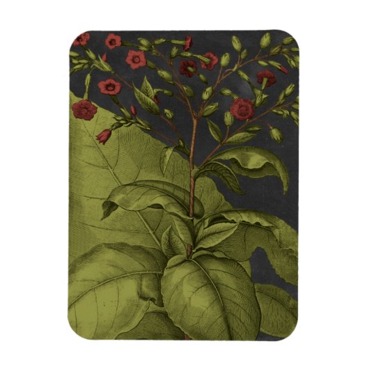 Magnet Flexible Besler Dramatique I (Vertical)