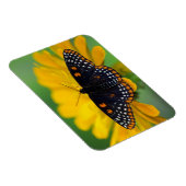 Magnet Flexible Beurre-tache Baltimore À damiers (Côté Droit)