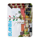 Magnet Flexible Biélorussie Slonim Ville Vue ville Architecture (Vertical)