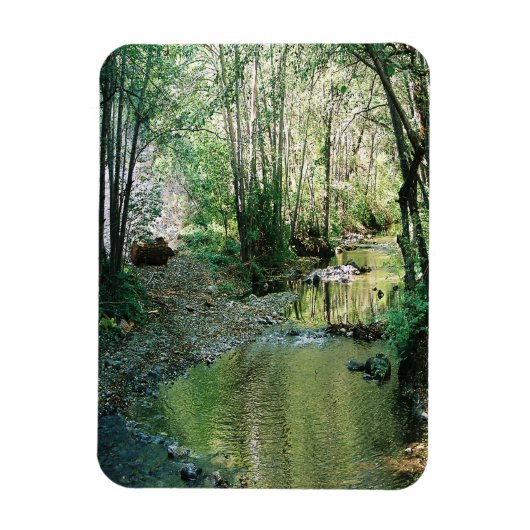 Magnet Flexible Big Creek. (Vertical)