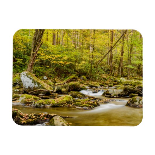 Magnet Flexible Big Creek | Caroline du Nord (Horizontal)