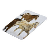 Magnet Flexible Big Horn Mountains, Chevaux courant dans la neige (Côté Gauche)