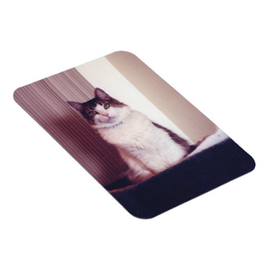 Magnet Flexible Big Kitty (Côté Droit)