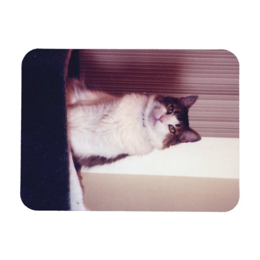 Magnet Flexible Big Kitty (Horizontal)