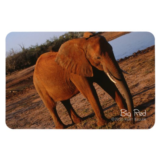 Magnet Flexible Big Red (Horizontal)