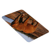 Magnet Flexible Big Red (Côté Droit)