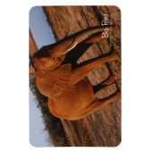 Magnet Flexible Big Red (Vertical)