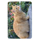 Magnet Flexible Big Red Tabby (Vertical)