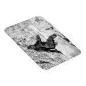 Magnet Flexible Bigfoot (Côté Droit)