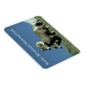 Magnet Flexible Bighorn Sheep (Côté Droit)