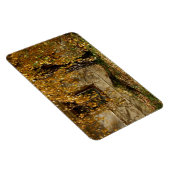 Magnet Flexible Birch En Automne (Côté Droit)